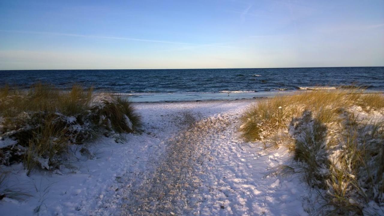 Fewo Himmel& Meer - Nur 300M Vom Meer Kuhlungsborn Bagian luar foto
